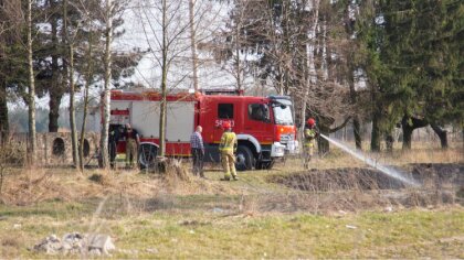 Ostrów Mazowiecka - Na terenie Ostrowi Mazowieckiej doszło do pożaru trawy. Na m
