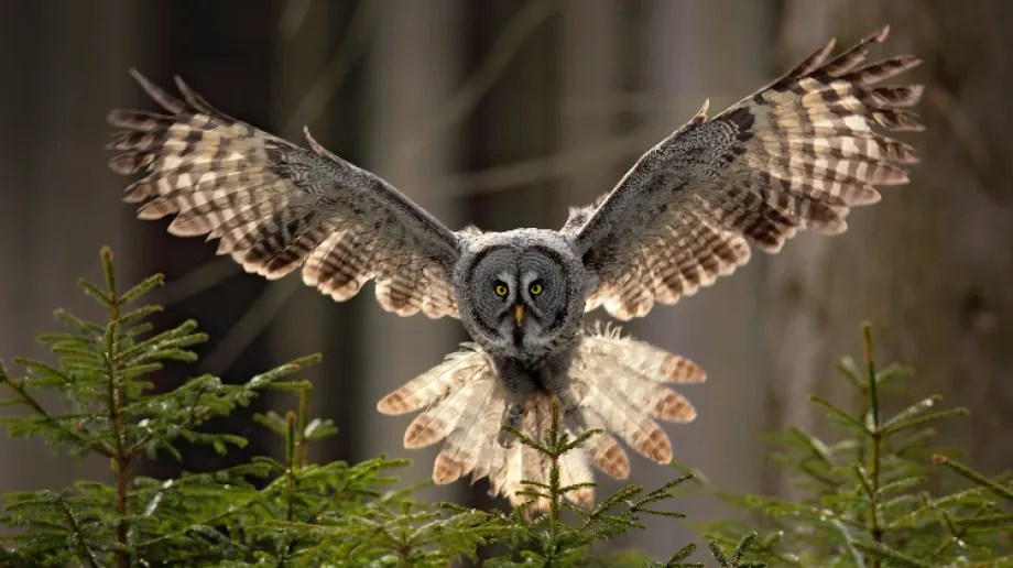 Zdjęcie ilustracyjne