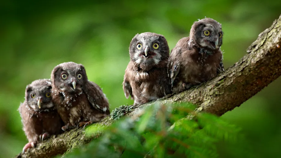 Zdjęcie ilustracyjne