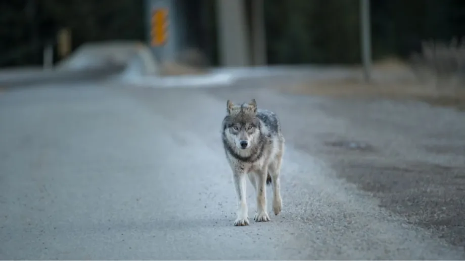 Zdjęcie ilustracyjne