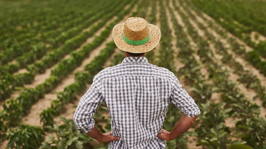 Zdjęcie ilustracyjne