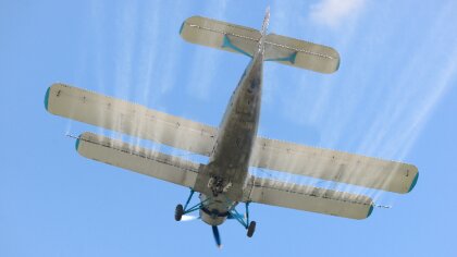 Ostrów Mazowiecka - Tymczasowy zakaz wstępu do lasu w leśnictwie Kalinowo w okre