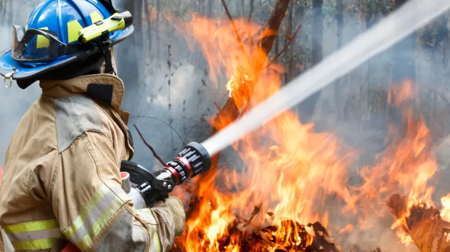 Zdjęcie ilustracyjne