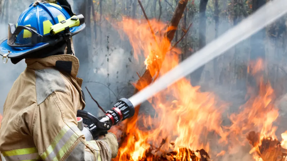 Zdjęcie ilustracyjne