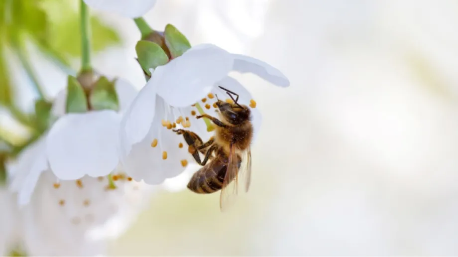 Zdjęcie ilustracyjne