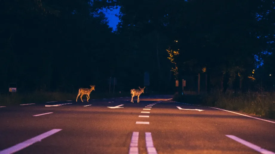 Zdjęcie ilustracyjne