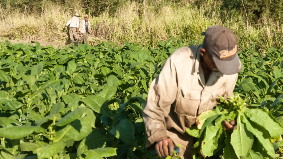 Zdjęcie ilustracyjne