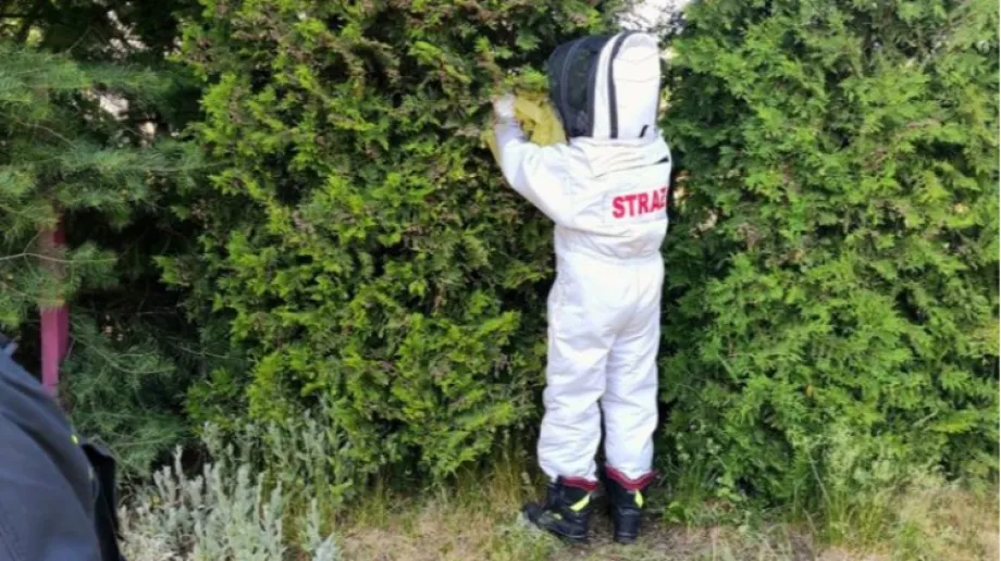 Fot. OSP Boguty-Pianki/Facebook