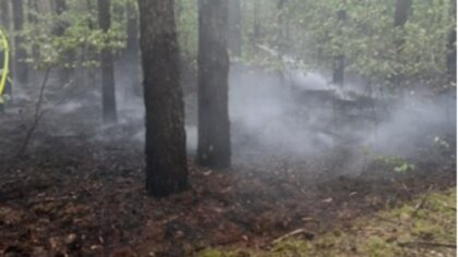 Ostrów Mazowiecka - W poniedziałek 12 czerwca około godz. 19.35 służby otrzymały