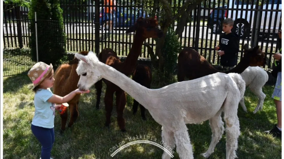 Fot. Urząd Gminy w Małkini Górnej