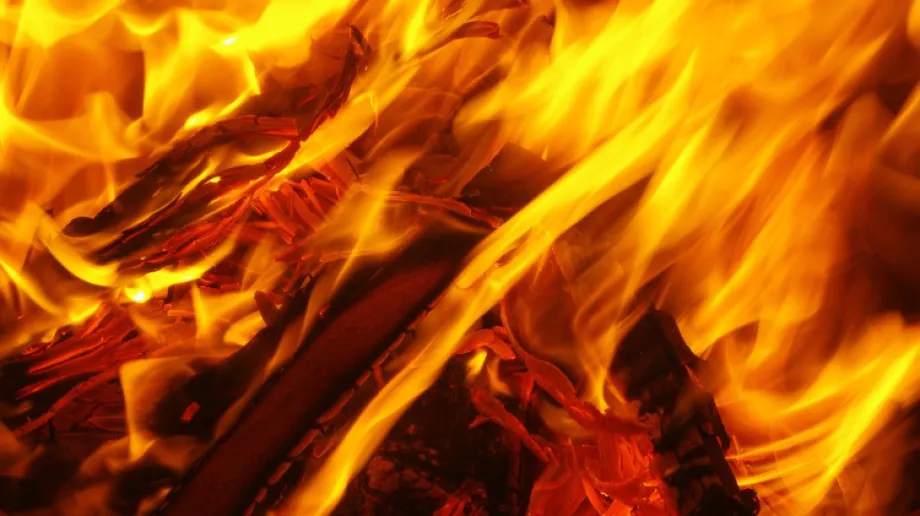 Fot. Ochotnicza Straż Pożarna w Bogutach Piankach/Facebook