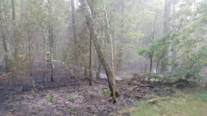 Ostrów Mazowiecka - W niedzielę 25 czerwca o godzinie 13:26 jednostka Ochotnicze