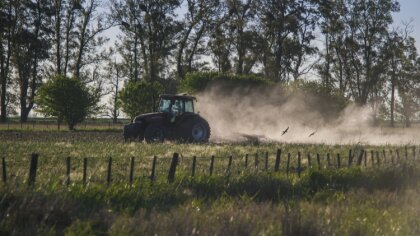 Ostrów Mazowiecka - W czwartek 27 lipca przed godz. 14.00 doszło do groźnie wygl