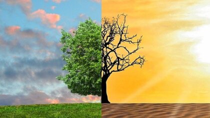 Ostrów Mazowiecka - Wójt gminy Ostrów Mazowiecka informuję, iż rolnicy, którzy s