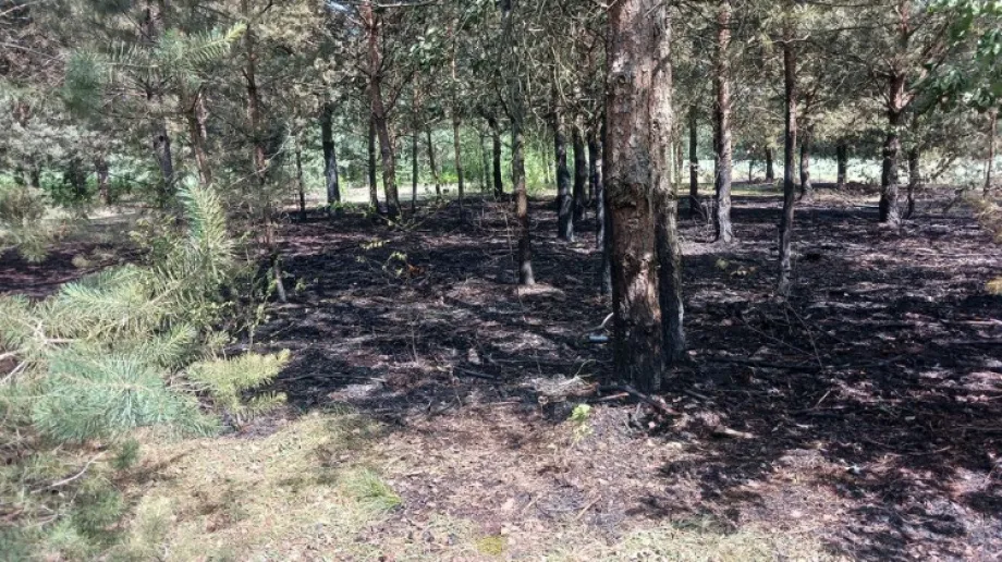 Fot. OSP KSRG Stary Lubotyń