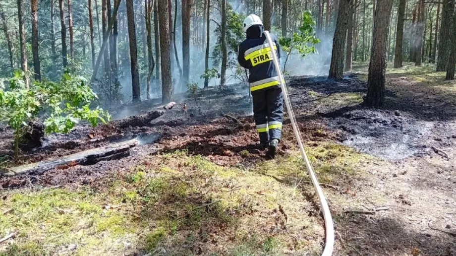W piątek 4 sierpnia o godzinie 13:07 Ochotnicza Straż Pożarna w Grądach została zaalarmowana o pożarze poszycia leśnego w miejscowości Grą