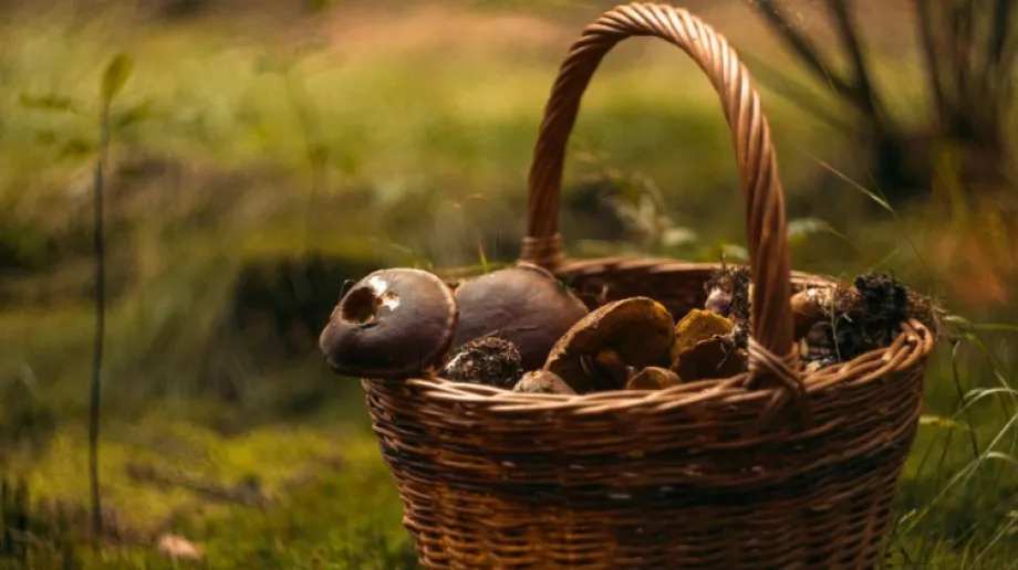 Fot. PSSE w Ostrowi Mazowieckiej/Facebook