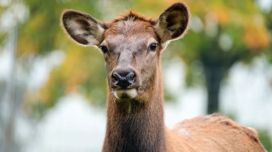 Fot. zdjęcie podglądowe 