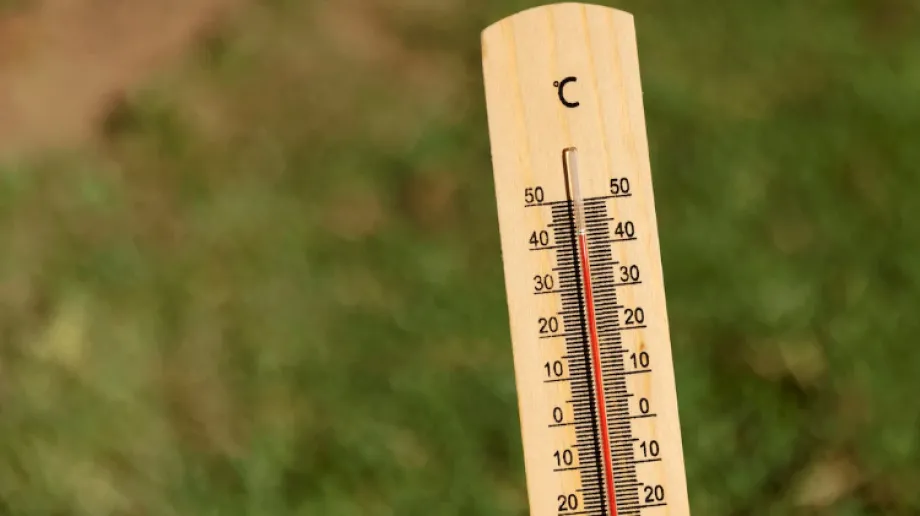 Zdjęcie ilustracyjne