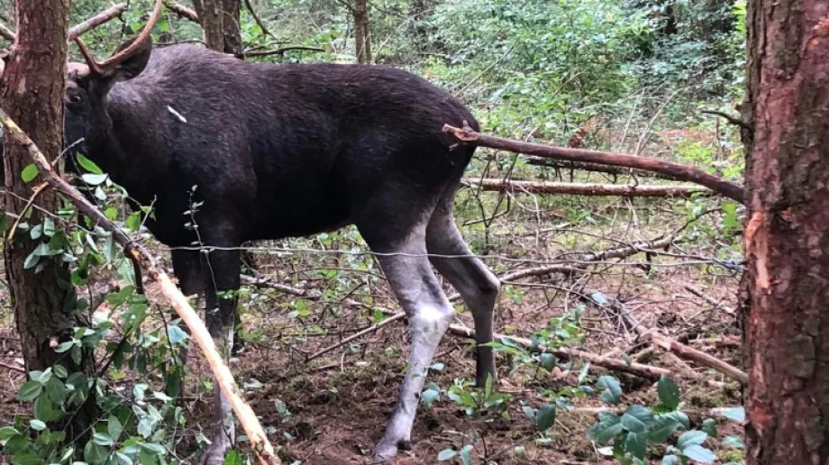 Fot. Rafał Kowalczyk/Facebook
