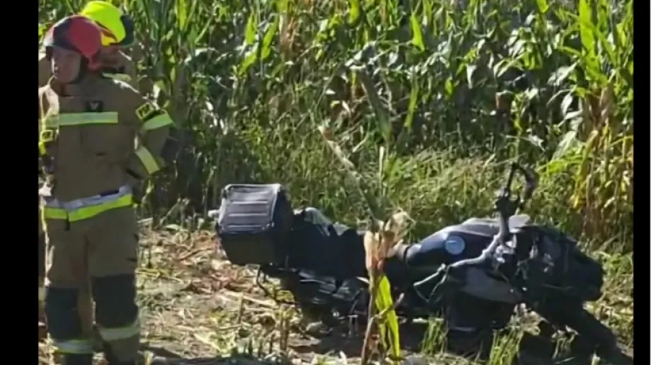 Fot. Artur Suchcicki 