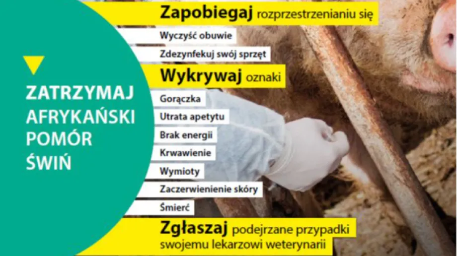 Fot. Materiały organizatora