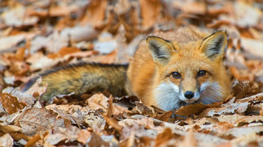 Zdjęcie ilustracyjne