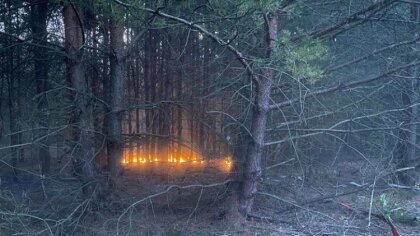 Ostrów Mazowiecka - W wtorek 12 września o godzinie 5:36 do Straży Pożarnej w Gr