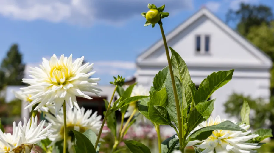 Fot. Materiały organizatora