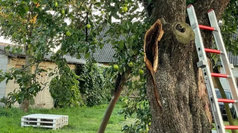 Fot. OSP KSRG Stary Lubotyń