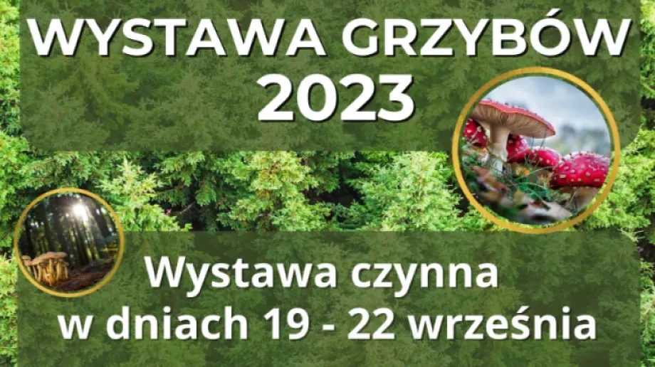 Fot. Materiały organizatora