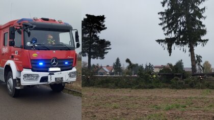 Ostrów Mazowiecka - W piątek 27 października 2023 roku o godzinie 10:14 do OSP Z