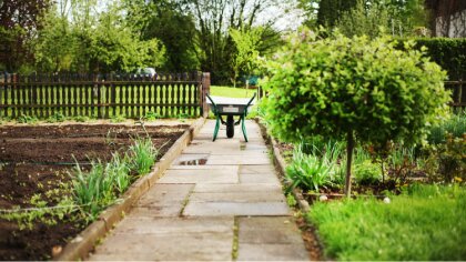 Ostrów Mazowiecka - Za nami wyjątkowo ciepły a momentami nawet upalny wrzesień i