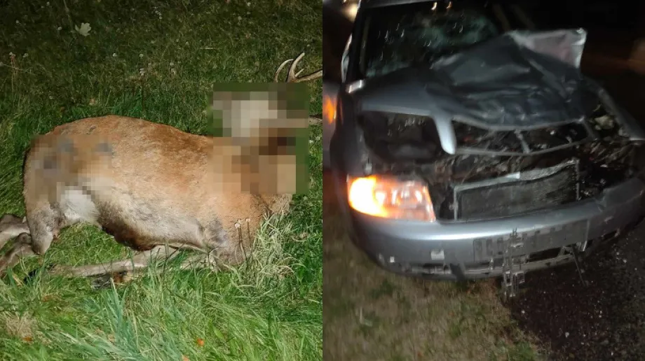 Fot. Materiały czytelnika