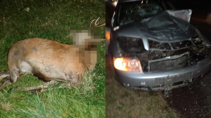 Ostrów Mazowiecka - Młody kierowca z powiatu ostrołęckiego brał udział w zdarzen