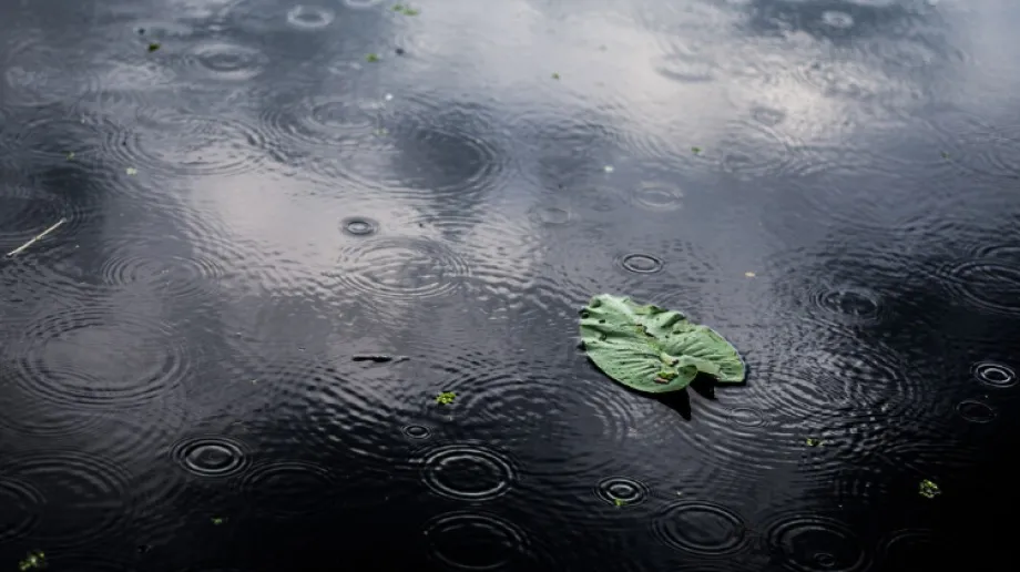 Zdjęcie ilustracyjne