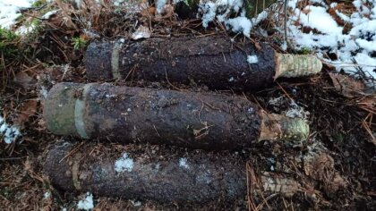 Ostrów Mazowiecka - Jesienią i wiosną policjanci otrzymują więcej zgłoszeń dotyc