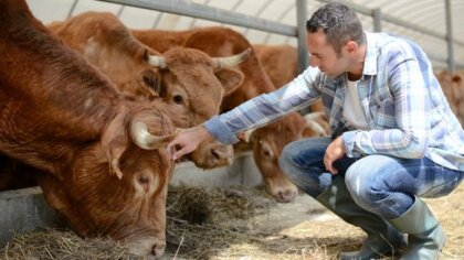 Ostrów Mazowiecka - Agencja Restrukturyzacji i Modernizacji Rolnictwa (ARiMR) pr