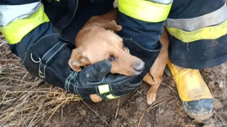 Fot. OSP Zaręby Kościelne