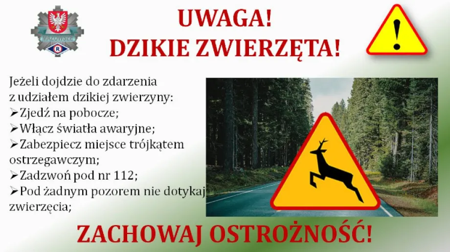 Wraz z nadejściem zimy, warunki na drogach ulegają pogorszeniu. Niskie temperatury, opady śniegu i deszczu, a także silny wiatr, zwiększają r