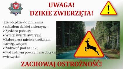 Ostrów Mazowiecka - Wraz z nadejściem zimy, warunki na drogach ulegają pogorszen