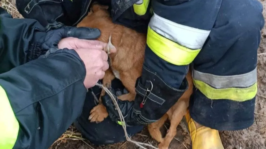 Fot. OSP Zaręby Kościelne