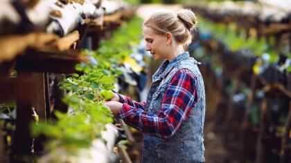 Ostrów Mazowiecka - W obliczu rosnących wyzwań związanych z produkcją żywności h