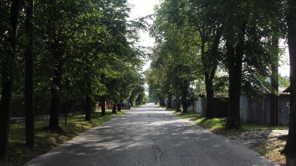 Ostrów Mazowiecka - Pogoda na Boże Narodzenie. Tuż przed Wigilią do Polski dotrz