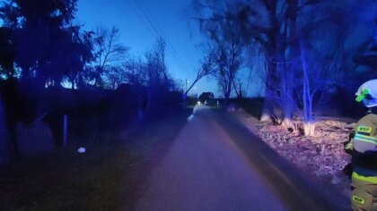 Ostrów Mazowiecka - Pierwszego dnia świąt 25 grudnia, o godzinie 15:40, strażacy