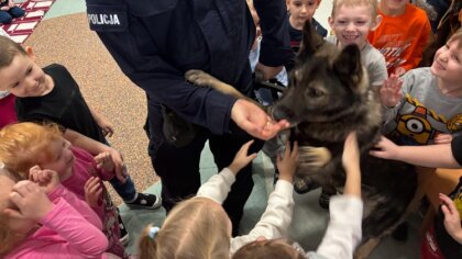 Ostrów Mazowiecka - Ferie zimowe powoli dobiegają końca, dlatego policjanci nie 