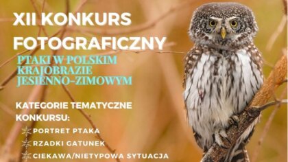 Ostrów Mazowiecka - Pasjonujesz się fotografią i lubisz zwierzęta? W takim razie