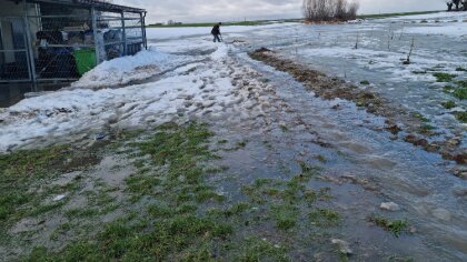 Ostrów Mazowiecka - W czwartek, 25 stycznia 2023 r., o godzinie 11.47 jednostka 