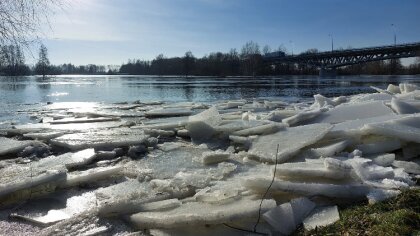 Ostrów Mazowiecka - Jeszcze wczoraj stan wody rzeki Bug w Małkini wynosił 489 cm