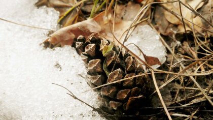 Ostrów Mazowiecka - Instytut Meteorologii i Gospodarki Wodnej (IMGW) wydał ostrz